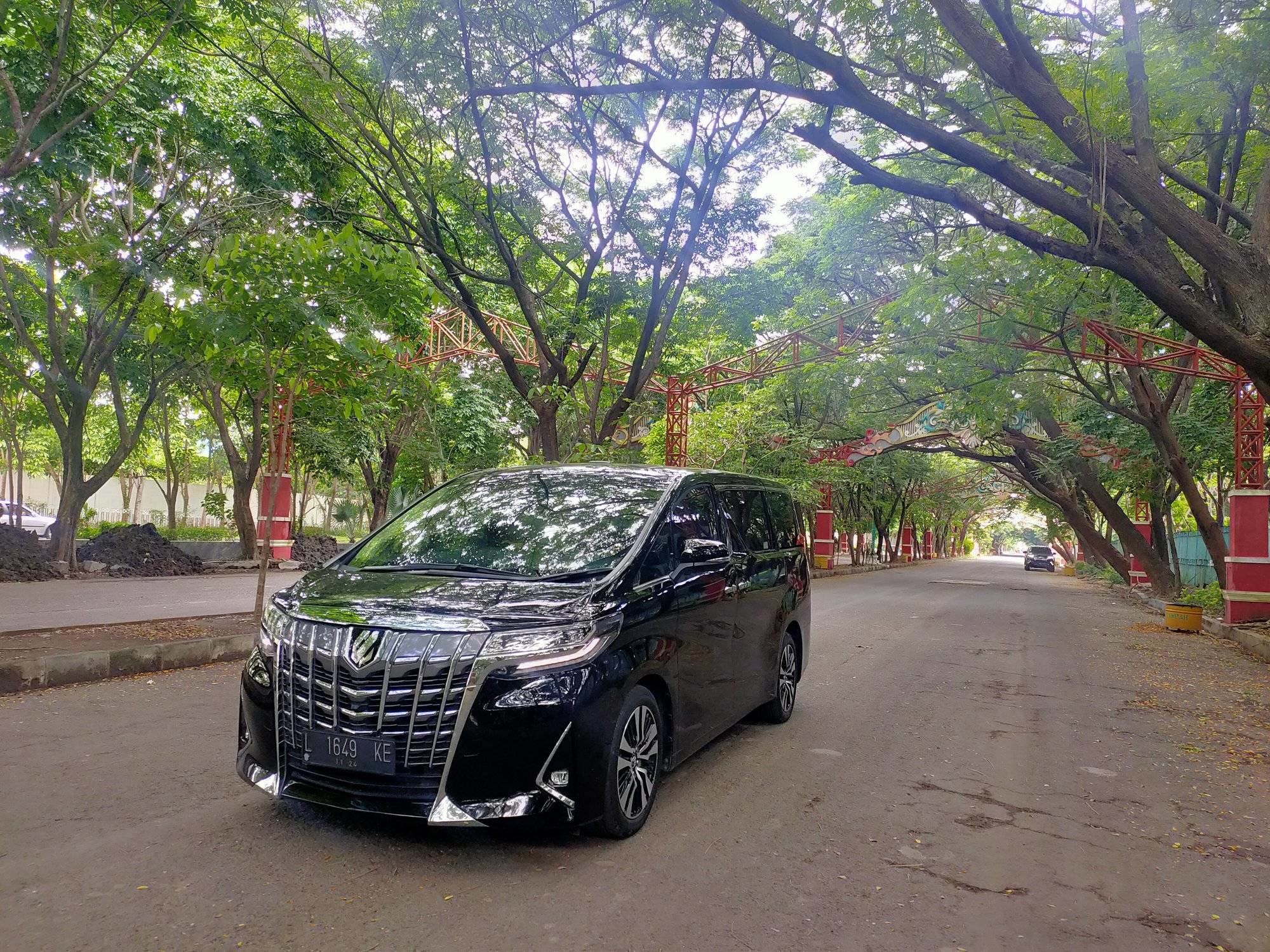 Alphard-1